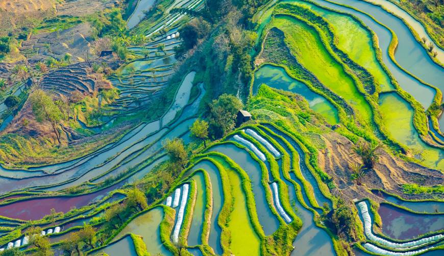 宝妈必备神器：洋县产品视频拍摄轻松育儿好帮手