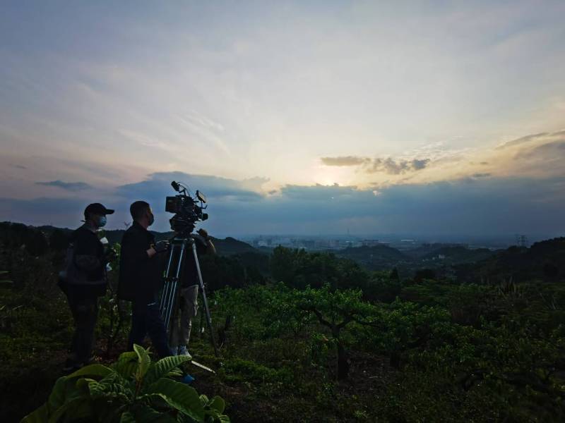 聚焦洋县产品宣传视频拍摄公司，用专业实力铸就品牌传播传奇