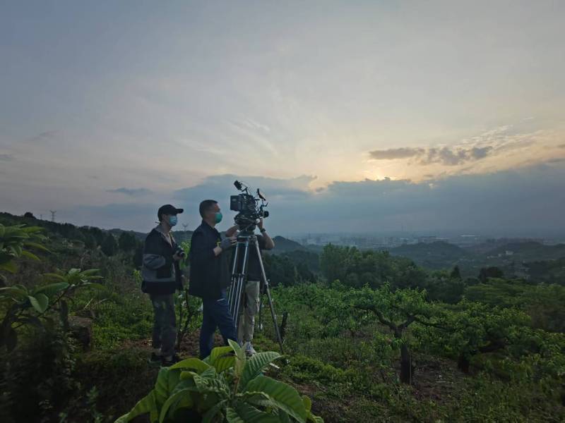 创意破圈！洋县电商产品宣传视频用故事化叙事引爆流量