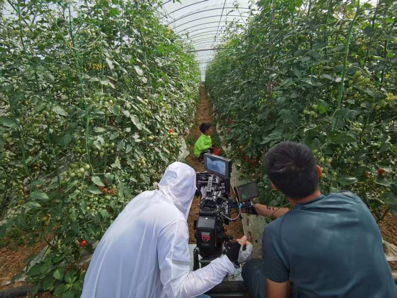 洋县产品宣传视频拍摄公司进阶指南，助力品牌抢占传播高地